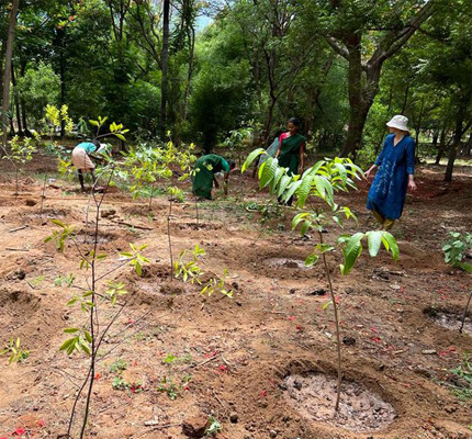 Image of Satvavajaya Chikitsa therapy for psychological healing and emotional wellness at the Best Ayurveda Treatment Centre in India and the Best Ayurvedic Treatment in Tamil Nadu.
