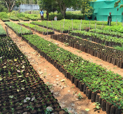 Image of Satvavajaya Chikitsa therapy for emotional balance and mental well-being at the Best Ayurveda Treatment Centre in India and the Best Ayurvedic Treatment in Tamil Nadu.